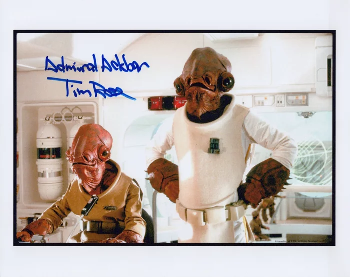 Tim Rose autograph