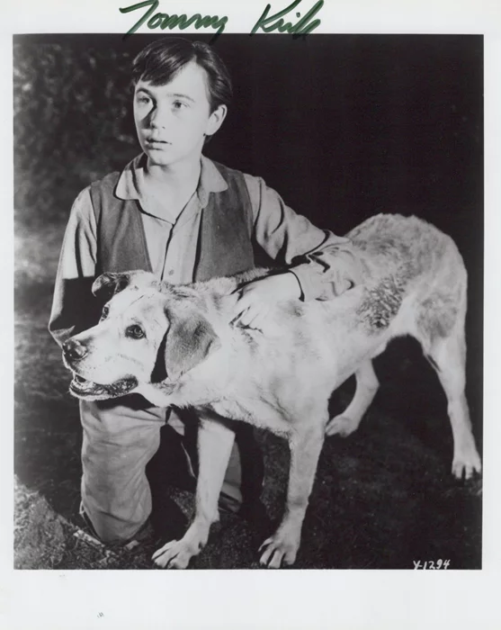 Tommy Kirk autograph