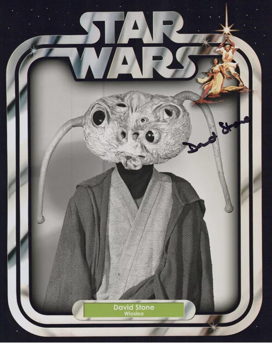 David Stone autograph