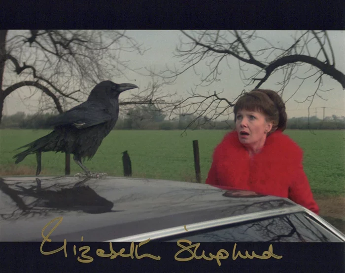 Elizabeth Shepherd autograph