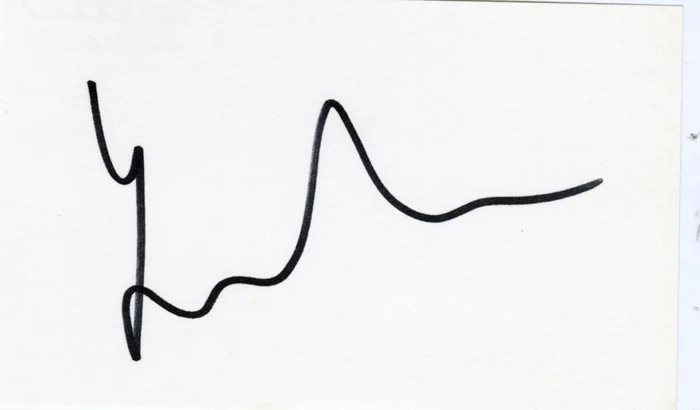 Leelee Sobieski autograph