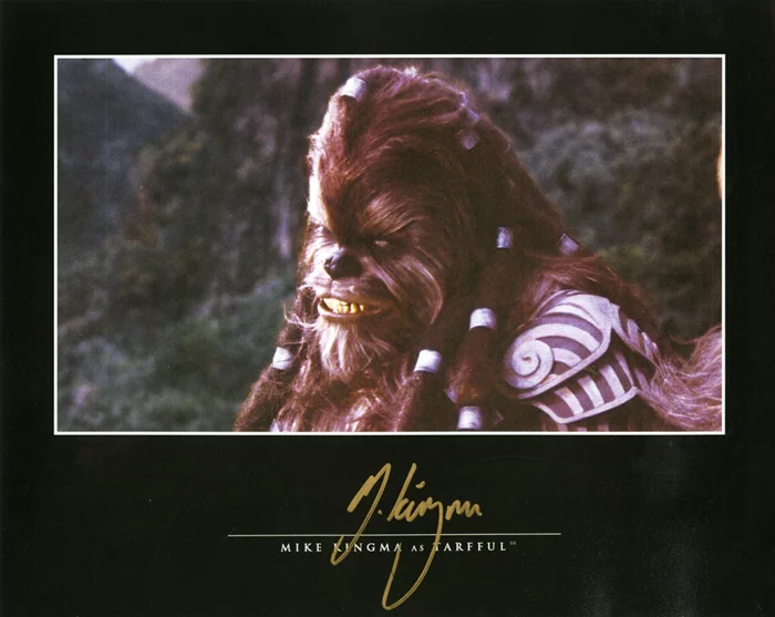 Michael Kingma autograph