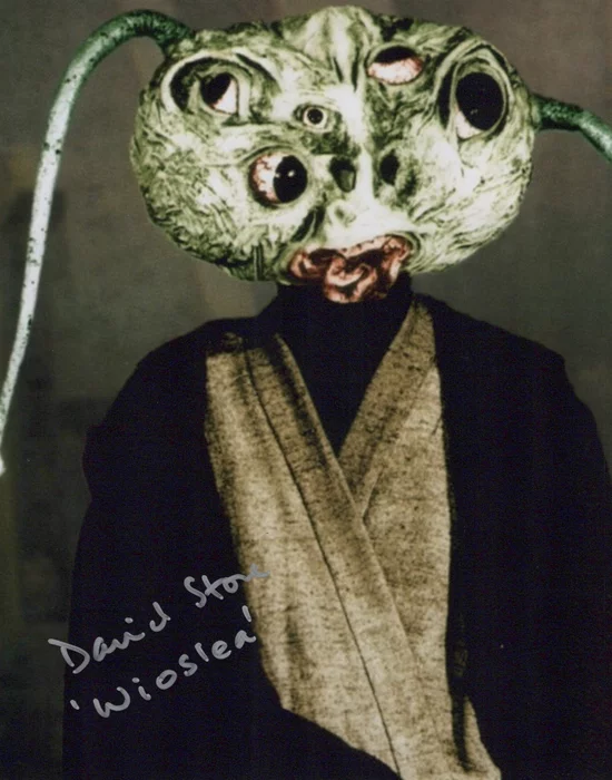 David Stone autograph