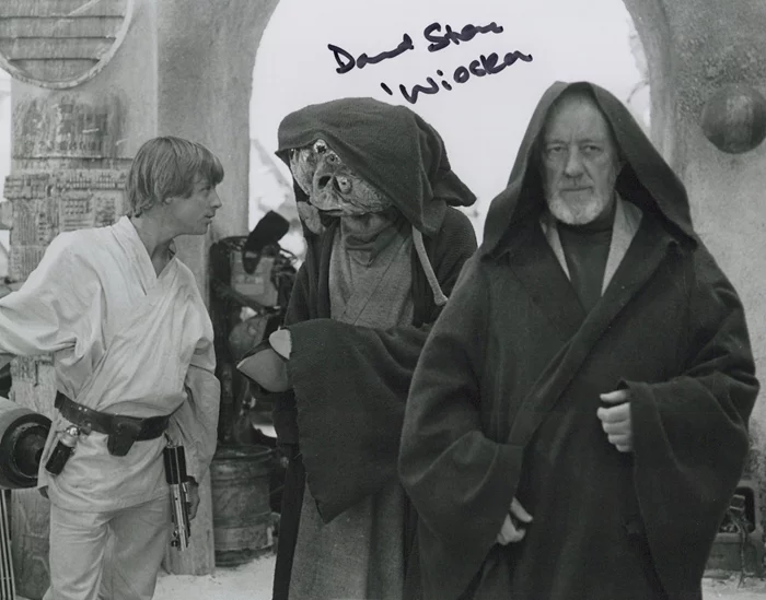 David Stone autograph