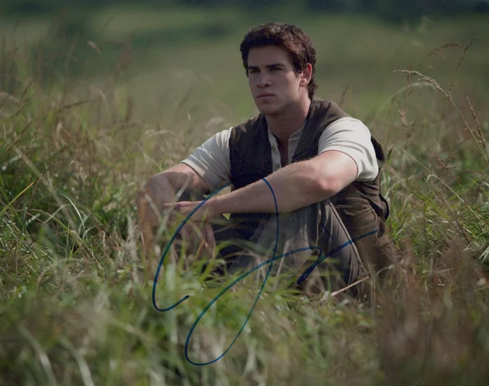 Liam Hemsworth autograph