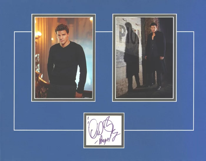 David Boreanaz autograph