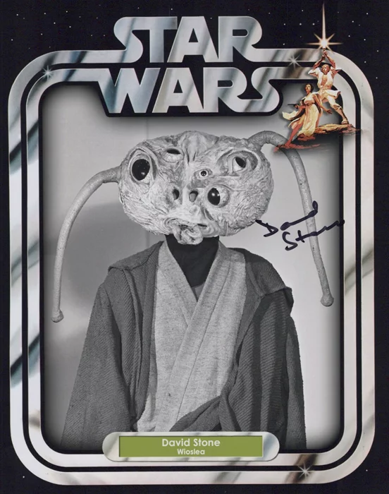 David Stone autograph