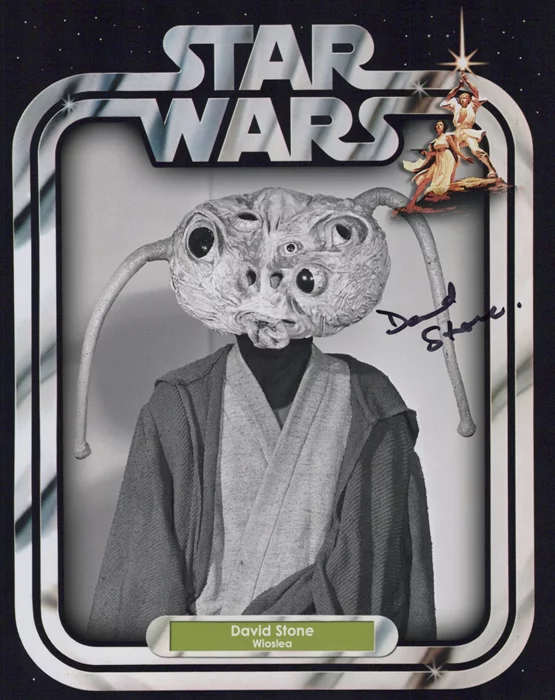 David Stone autograph