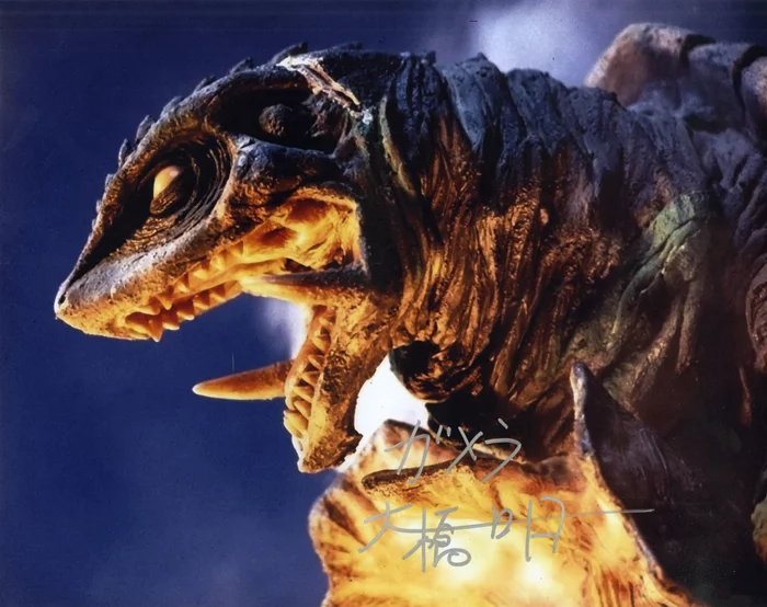 Akira Ohashi autograph