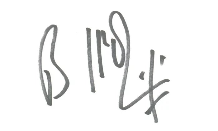Billy Idol autograph