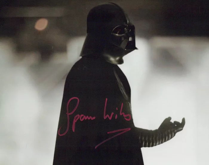 Spencer Wilding autograph