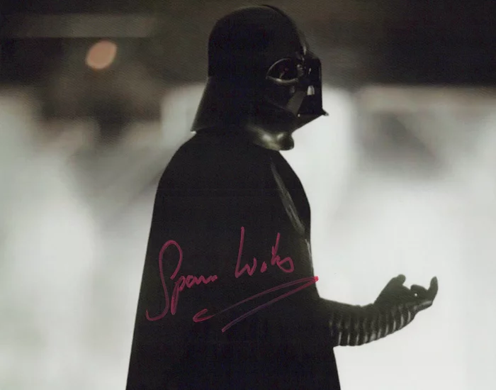 Spencer Wilding autograph