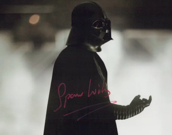 Spencer Wilding autograph