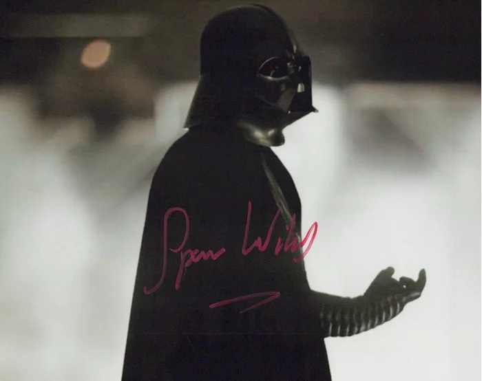 Spencer Wilding autograph