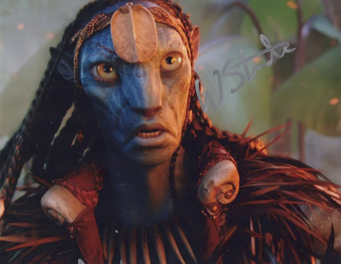 Wes Studi autograph