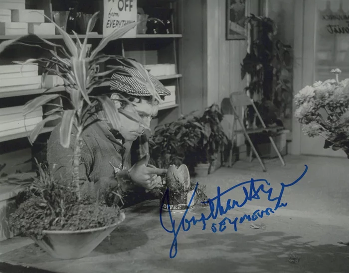 Jonathan Haze autograph