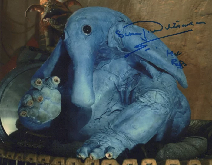 Simon Williamson autograph