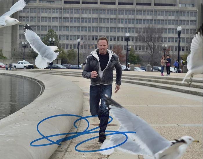 Ian Ziering autograph