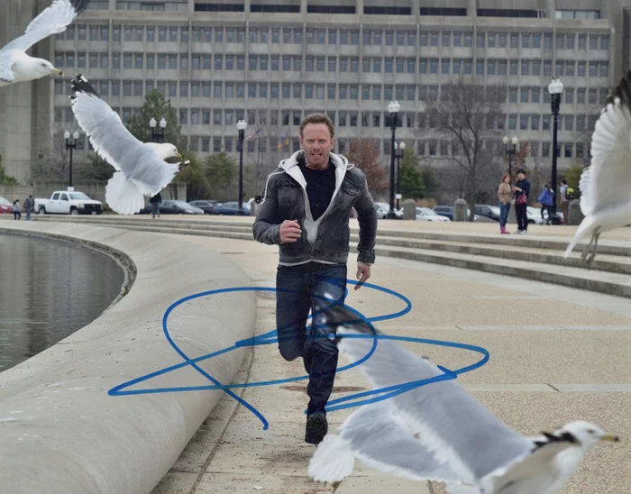 Ian Ziering autograph