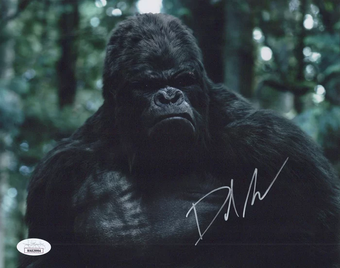 David Sobolov autograph
