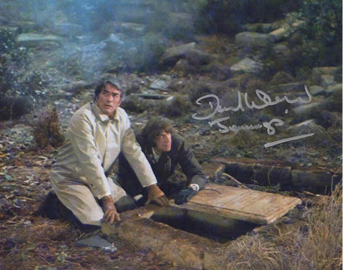 David Warner autograph