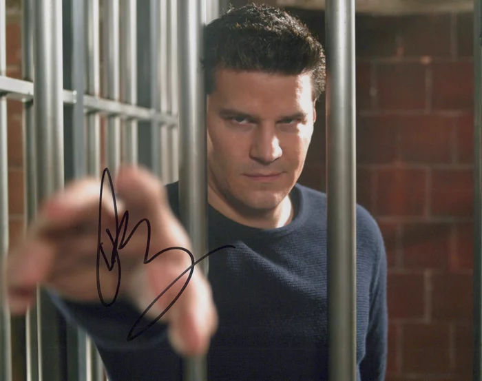 David Boreanaz autograph