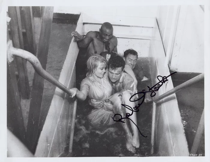 Robert Stack autograph