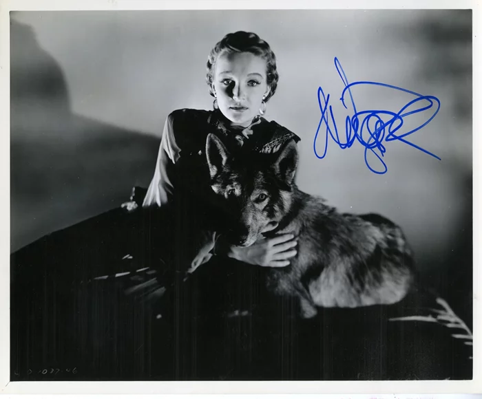 Nina Foch autograph