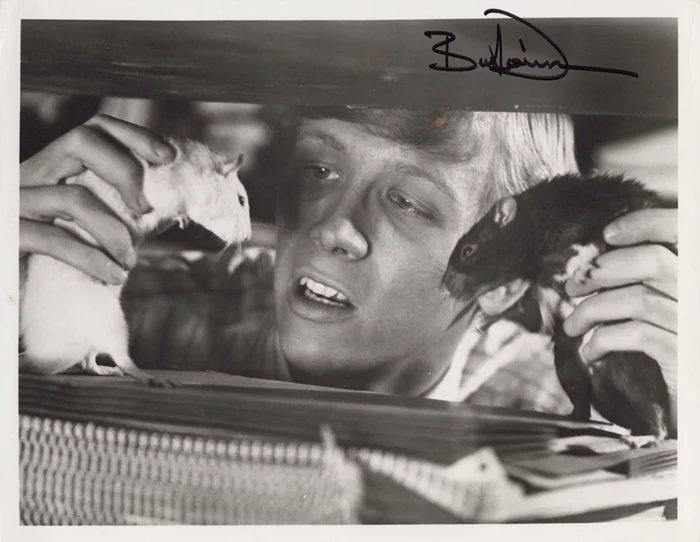 Bruce Davison autograph