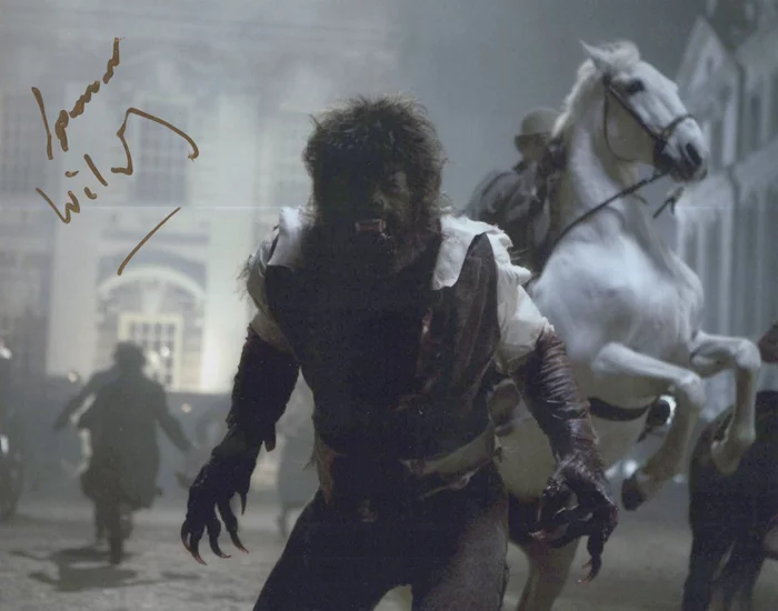 Spencer Wilding autograph