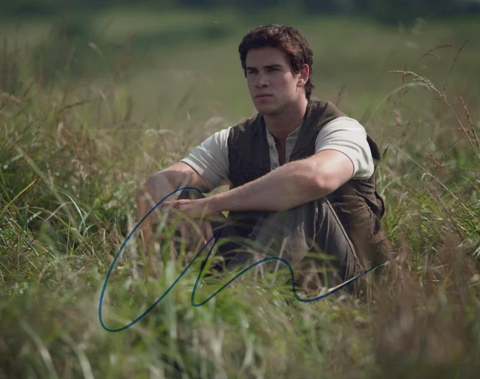 Liam Hemsworth autograph