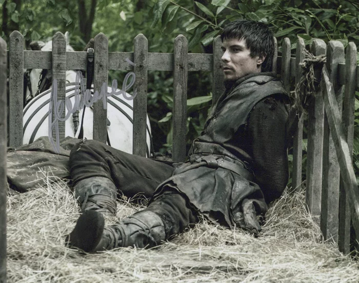 Joe Dempsie autograph