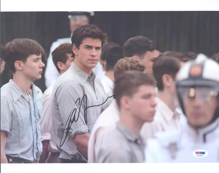 Liam Hemsworth autograph