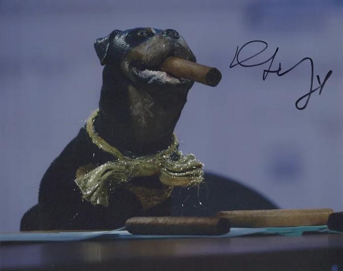 Robert Smigel autograph