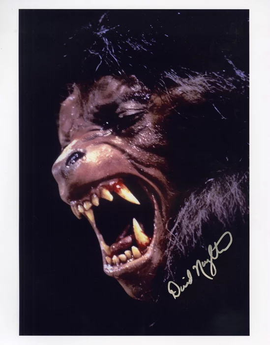 David Naughton autograph