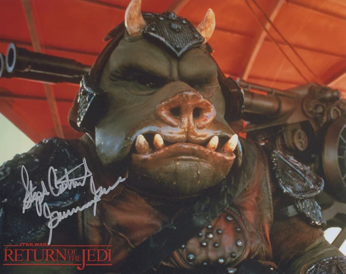 Stephen Costantino autograph