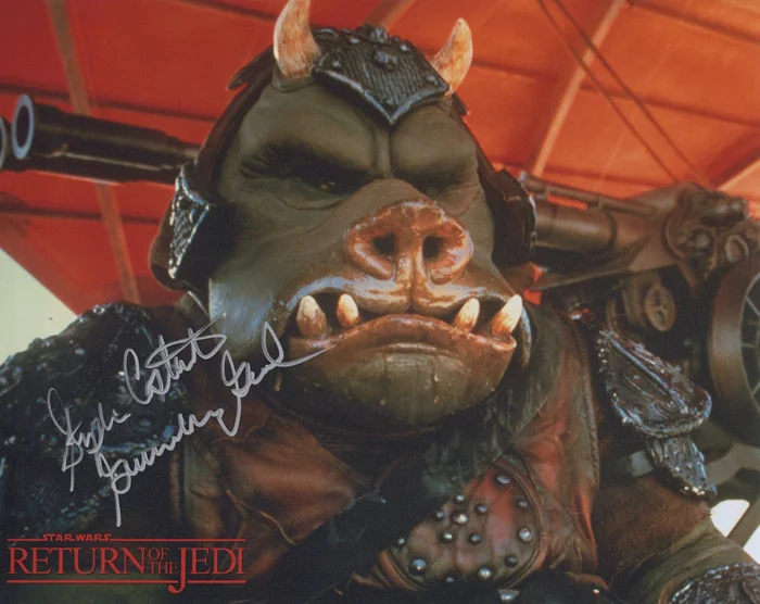 Stephen Costantino autograph