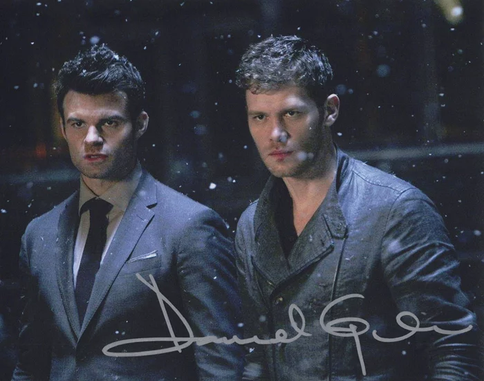 Daniel Gillies autograph