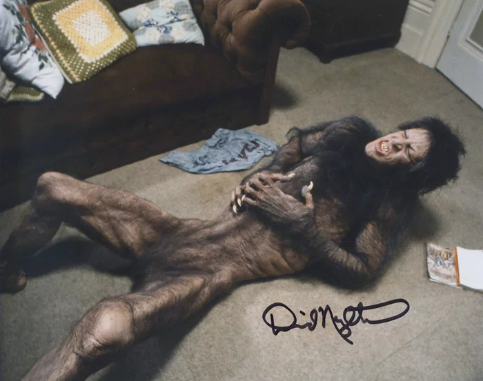 David Naughton autograph