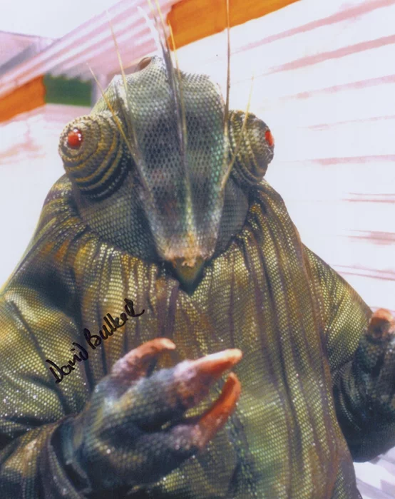 David Bulbeck autograph