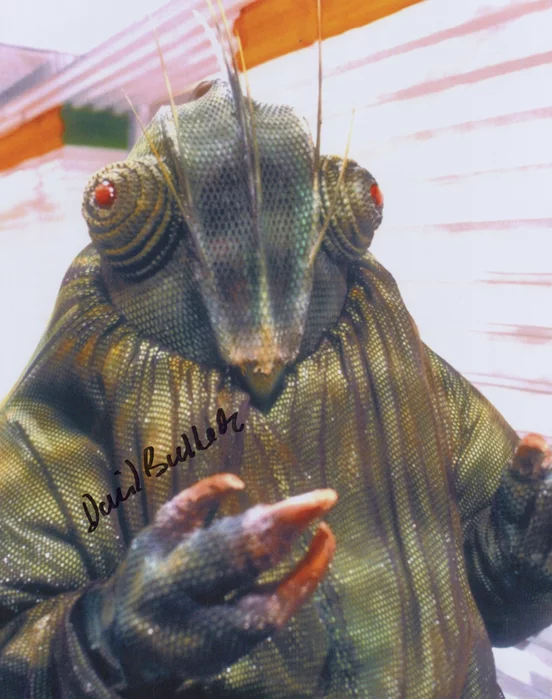 David Bulbeck autograph