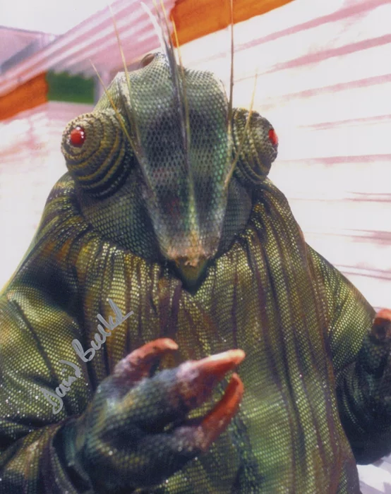 David Bulbeck autograph