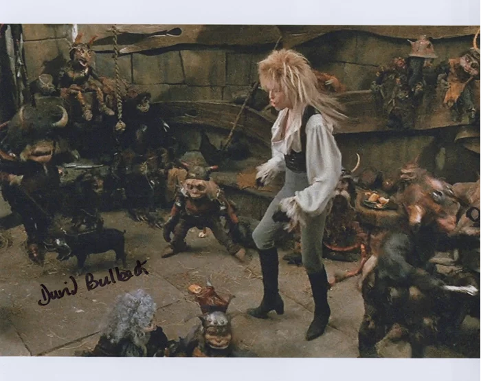 David Bulbeck autograph