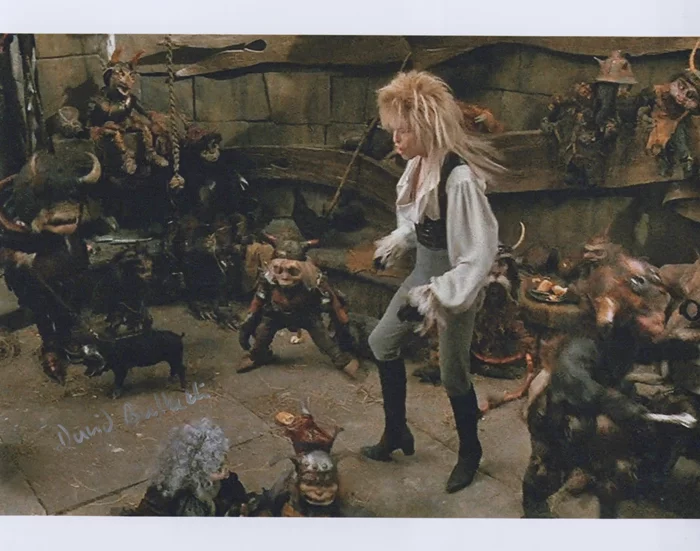 David Bulbeck autograph