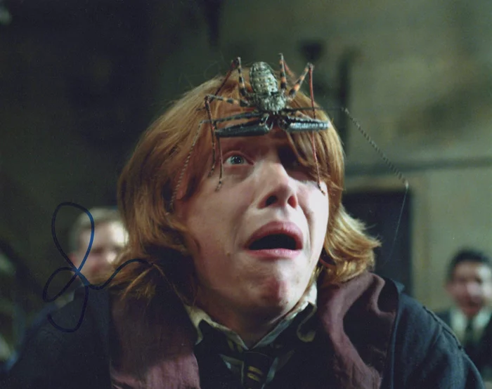 Rupert Grint autograph