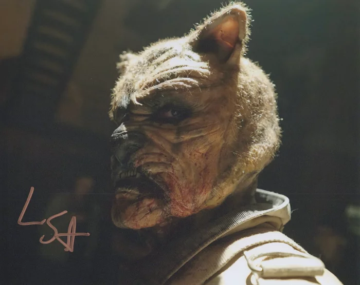 Lewis Santer autograph