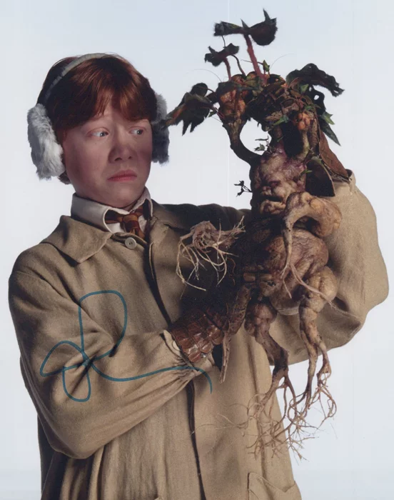 Rupert Grint autograph