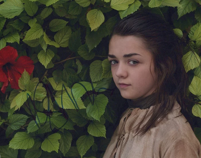 Maisie Williams autograph