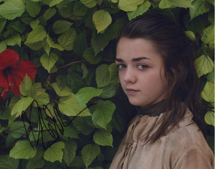 Maisie Williams autograph