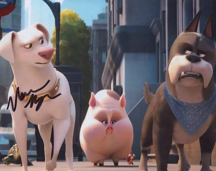 Vanessa Bayer autograph